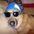 drderv's profile image
