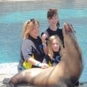 cameron stein - @cameron_stein - Twitter