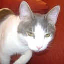 Fernando Paez - @fpaez357 - Twitter