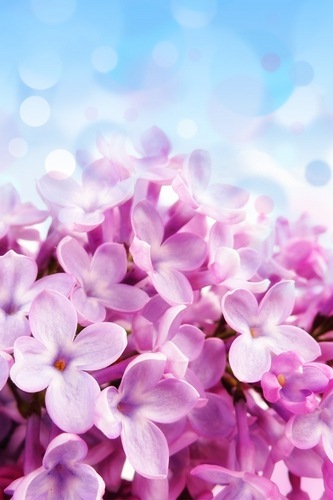 FAIRFAXandFIFTY's profile picture. Event Stylist, Lifestyle Blogger, Cook, Traveling Enthusiast