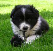 my7katz's profile picture. 