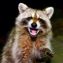 Nina Redding - @NinaWestergard - Twitter