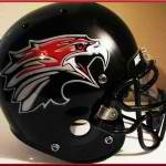 We Are the Indianapolis Nighthawks Semi-Pro football team. We compete in the Mid State Football League. Head Coach Is a former Indianapolis Colt Ray Donaldson.