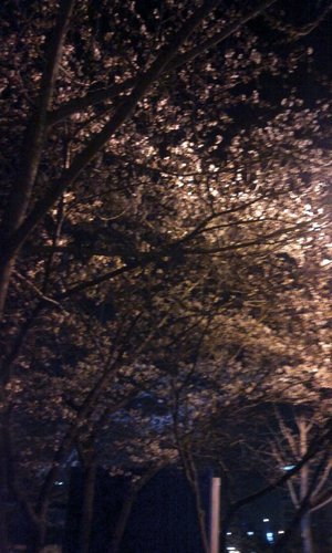 방향을바로잡자!!