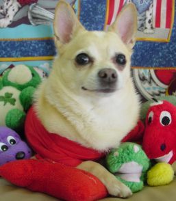 MarieEar's profile picture. 