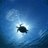 honu120jams's profile image
