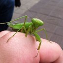 thomas earnest - @earnest_thomas - Twitter