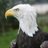 David_in_Yeovil's profile image