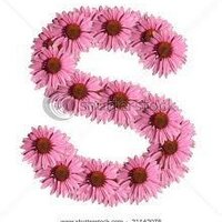 Siddiqa (@siddiqaali) 's Twitter Profile