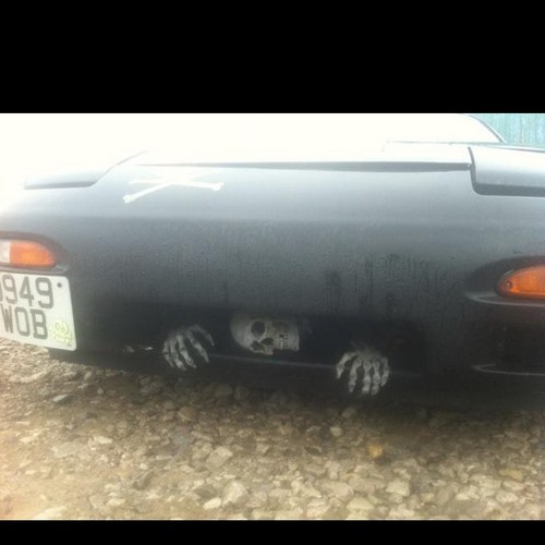 Cheif12345's profile picture. 