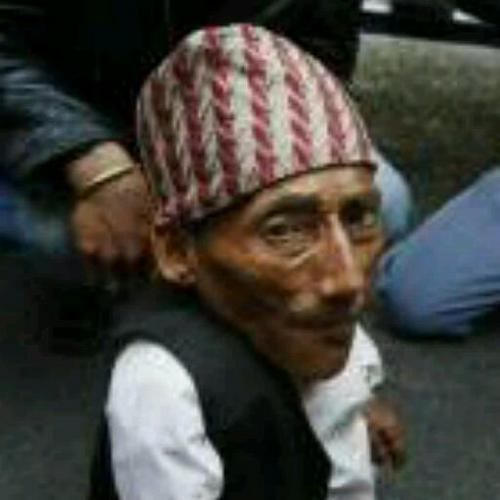 bob_hollis's profile picture. 