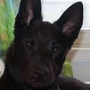 Dan Adsit - @danadsit - Twitter