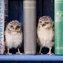 Issac - @issac_li - Twitter