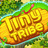 Tiny_Tribe's profile image