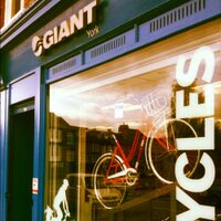 Giant York (@giantyork) 's Twitter Profile