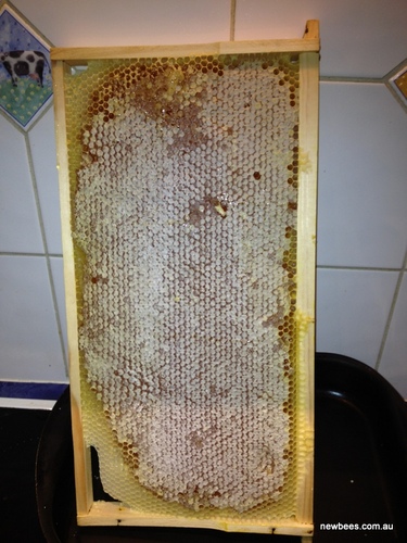 http://t.co/SCSrrgDeT2 - beekeeping info for new beekeepers in Australia. Bees in Melbourne's inner north and Heathcote (100km north of Melbourne).