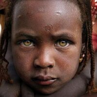 AidNews (@aidnews) 's Twitter Profile