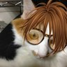 tezcch's profile picture. 2匹の猫(ナナ&テン)と時間のある時に、まったりつぶやいています。