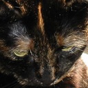 Oliver Pfaff - @OliverFPfaff - Twitter