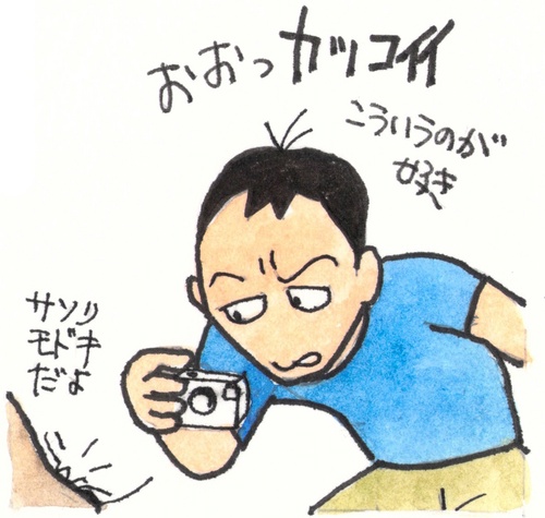 kemrio's profile picture. 博物館学芸員。おもに房総丘陵で活動中。植物、昆虫、両生類など。