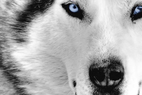 cody__janssen's profile picture. *1havo*1999*11februari*volleybal*hetero*waterman*