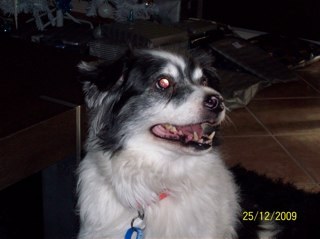 debmac1966's profile picture. 