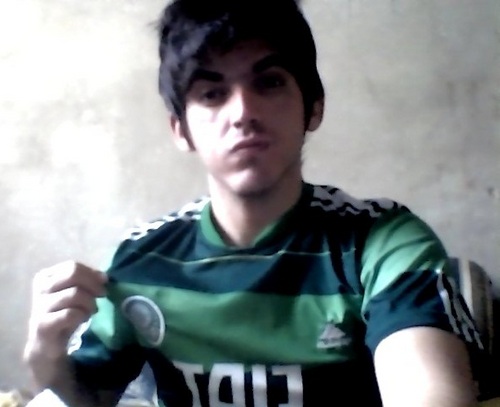 curtoo filmes , jogar futebol , sair com os amigos e é claro amoo meu Palmeiras