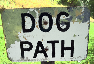 MPARRC's profile picture. Many Paths Animal Rescue and Rehabilitation Center is a 501 c3 started by Terry Griffith, Founder & co-host of Bark Radio.