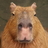 capybarahp
