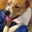 murphy - @MurphyMarilee - Twitter