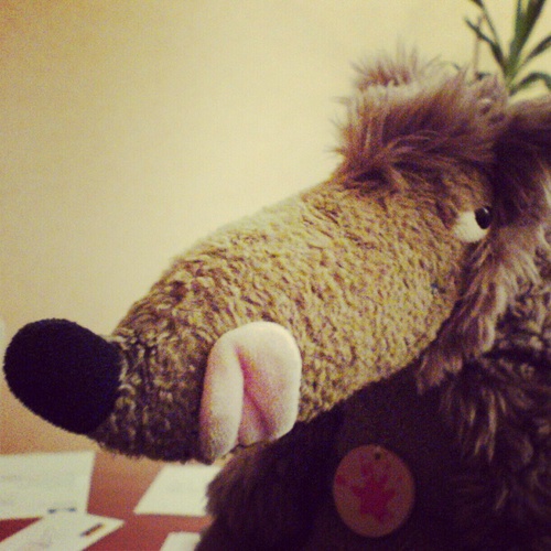 fredericvalade's profile picture. Tout ce que je sais c'est que je ne sais rien (Socrate)