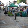 ThornburyMarket's profile picture. Thornbury Farmers Market - Every First and Third Thursday between 9am and 1:30pm