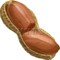 pnatsu7's profile picture. 