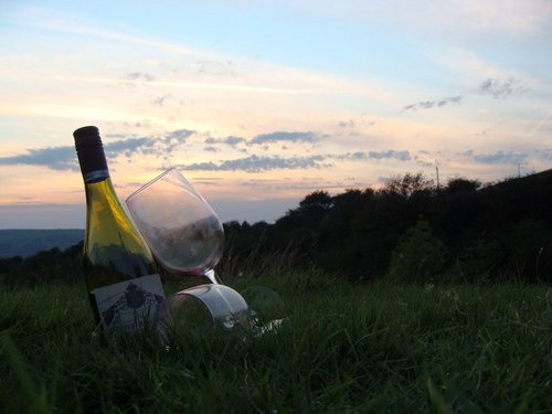 springhead05's profile picture. 