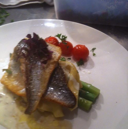 smaaqq's profile picture. 