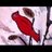 JPRS5's profile image