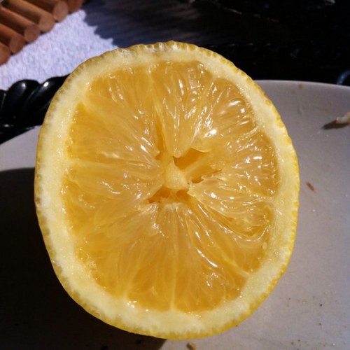 remiosse's profile picture. 