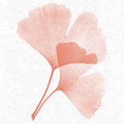 gingkogoodfood's profile picture. 