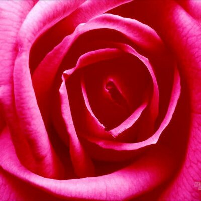 tcrasmussen's profile image