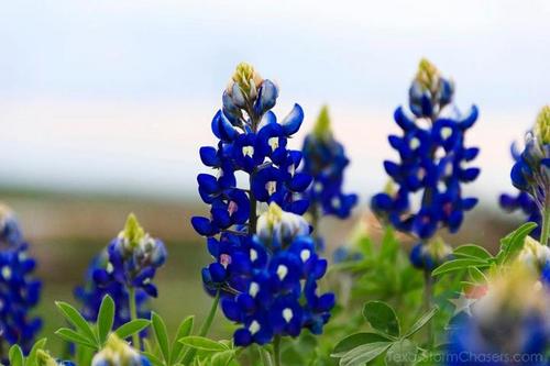 Zann16's profile picture. 