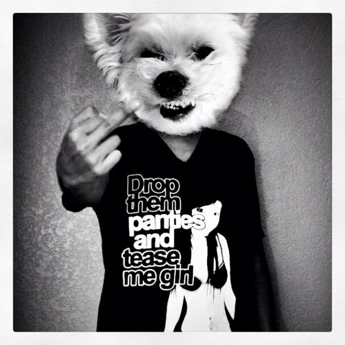 stitchhvnds's profile picture. @stitchhands is forever suspended from twitter