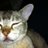 wilkers01's profile image
