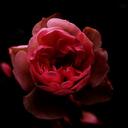 Giles Martin - @StReathamRose - Twitter