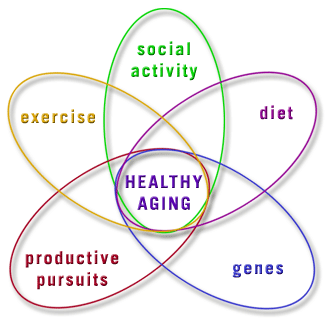 HealthyAgingc's profile picture. Your ultimate place for everything regarding your wellbeing.