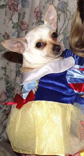 I is princess!!!!!  I is pretty!!!!!