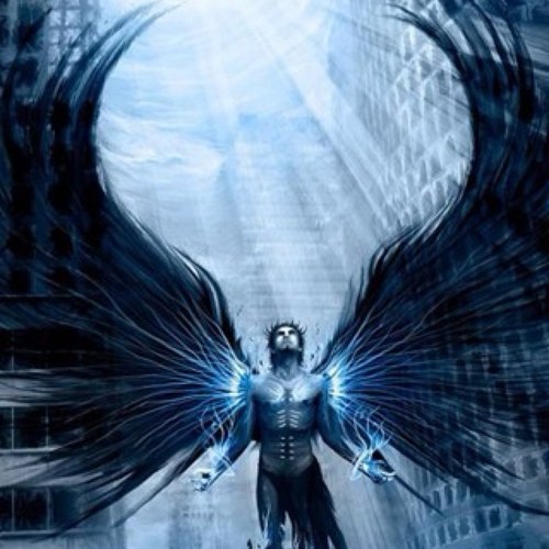 gaibin81's profile picture. 