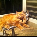 Rosa Loza - @rosylo - Twitter