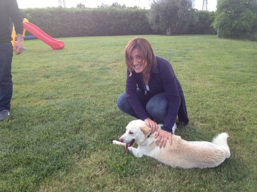 papypirro's profile picture. 