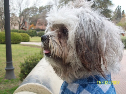 MarYRoquito's profile picture. Hasta que no hayas amado a un animal, una parte de tu alma permanecerá dormida