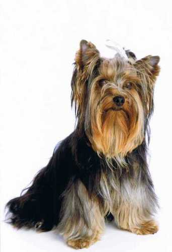 Annamar007's profile picture. 